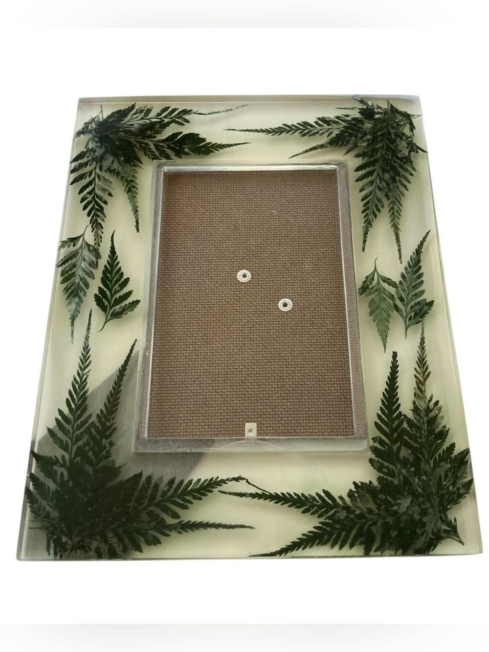 Lucite MCM Thick Fern Fronds Pressed Botanical Photo Picture Frame 4x6